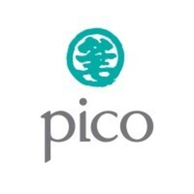 picologo